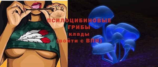 соль курить ск Осинники