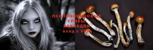 соль курить ск Осинники