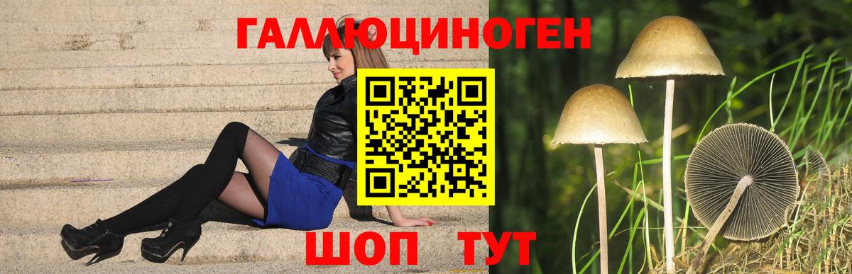 Галлюциногенные грибы Magic Shrooms Кумертау